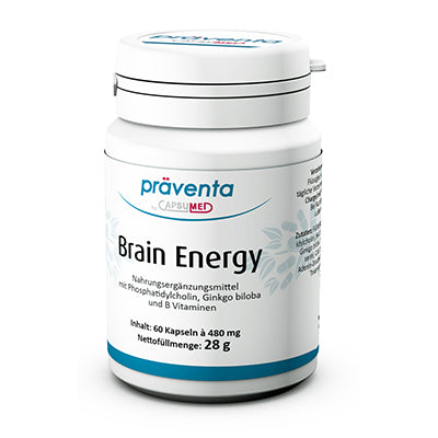 Brain Energy